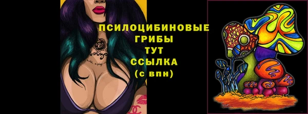 бутират Медвежьегорск
