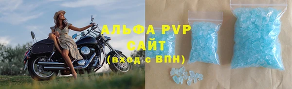 стаф Медногорск