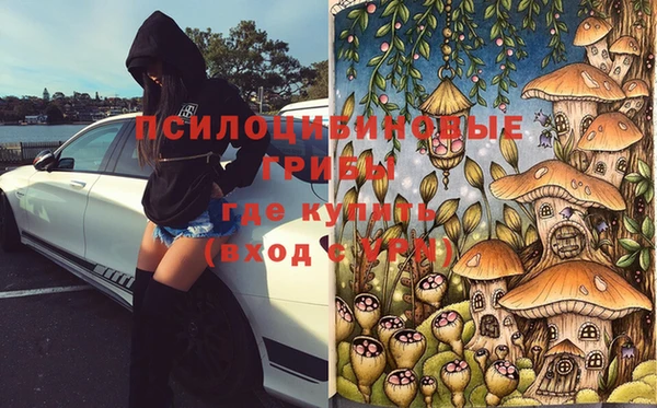 стаф Медногорск