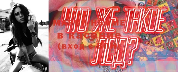 стаф Медногорск