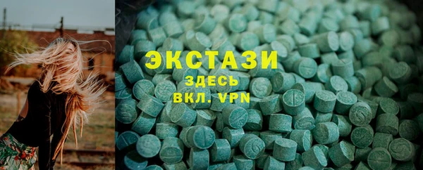 стаф Медногорск