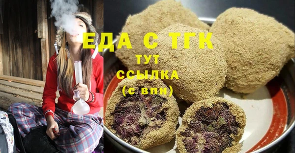стаф Медногорск