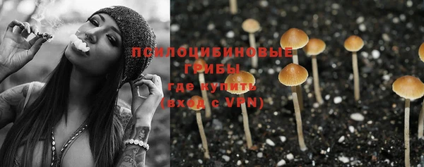 бутират Медвежьегорск