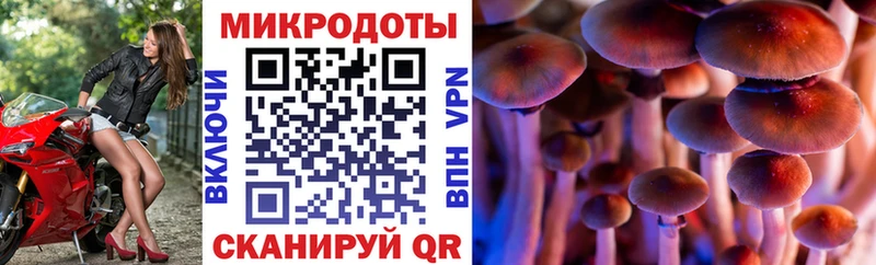 Галлюциногенные грибы мицелий  ссылка на мегу ONION  Чердынь  дарнет шоп 